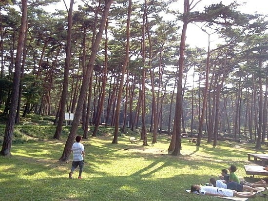 자연휴양림